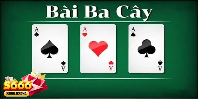 3 cây